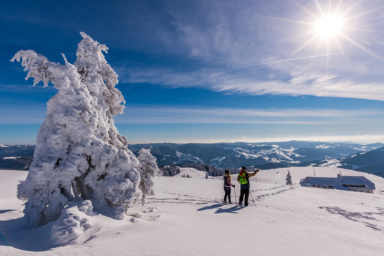 Winter Schwarzwaldregion Belchen
