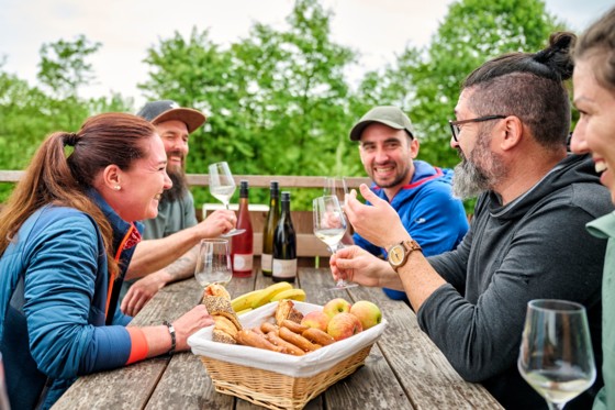 Kraichtal Wandern Weingut klenert