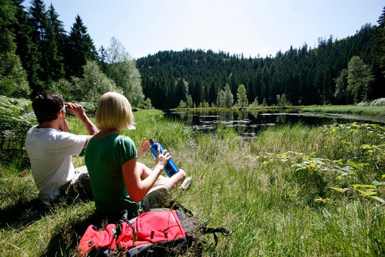 Seensteig Baiersbronn