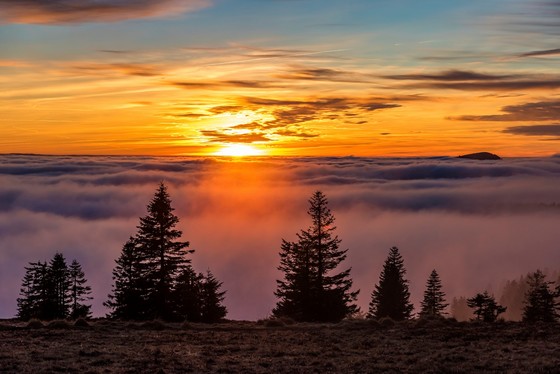 Sonnenaufgang auf dem Feldberg