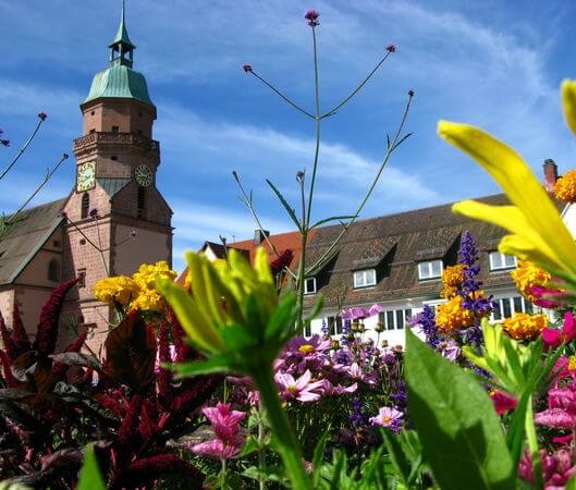 Freudenstadt