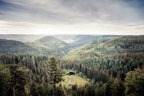 Ellbachseeblick Baiersbronn